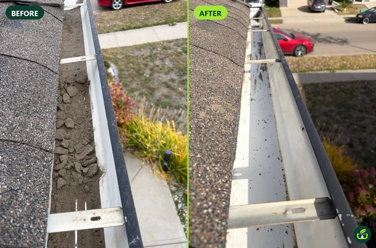 Before and after eavestrough cleaning in Fort Saskatchewan: trough packed with dirt and roof grit, then cleaned to bare metal