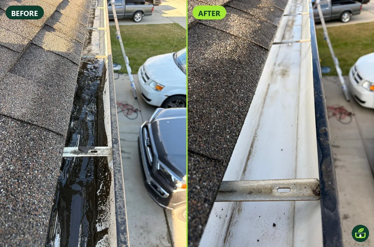 Before and after gutter cleaning: trough full of standing black water, then flushed and draining